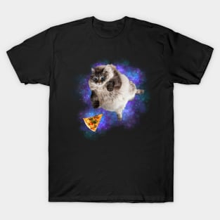 funny pizza cat galaxy T-Shirt